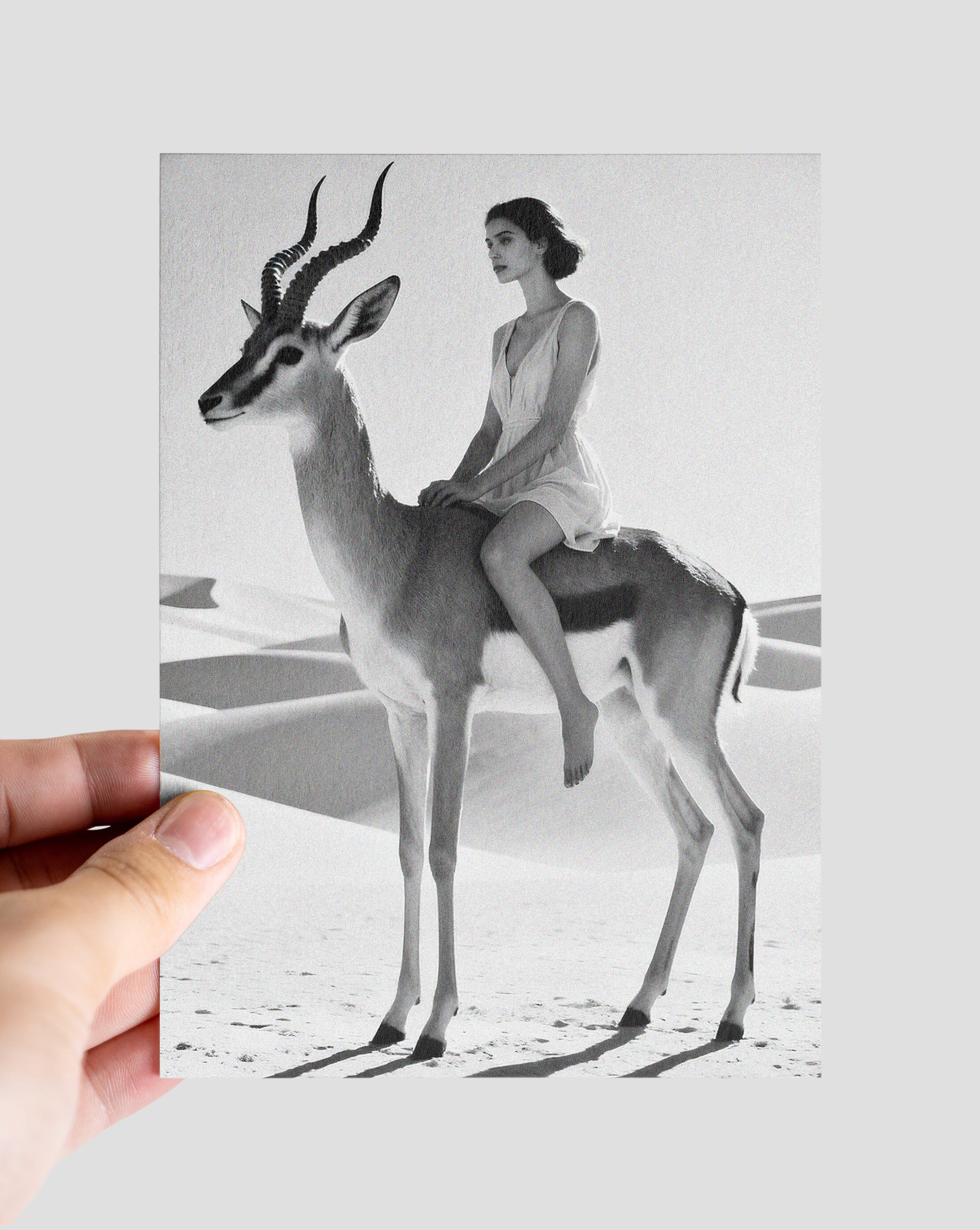 Gazelle