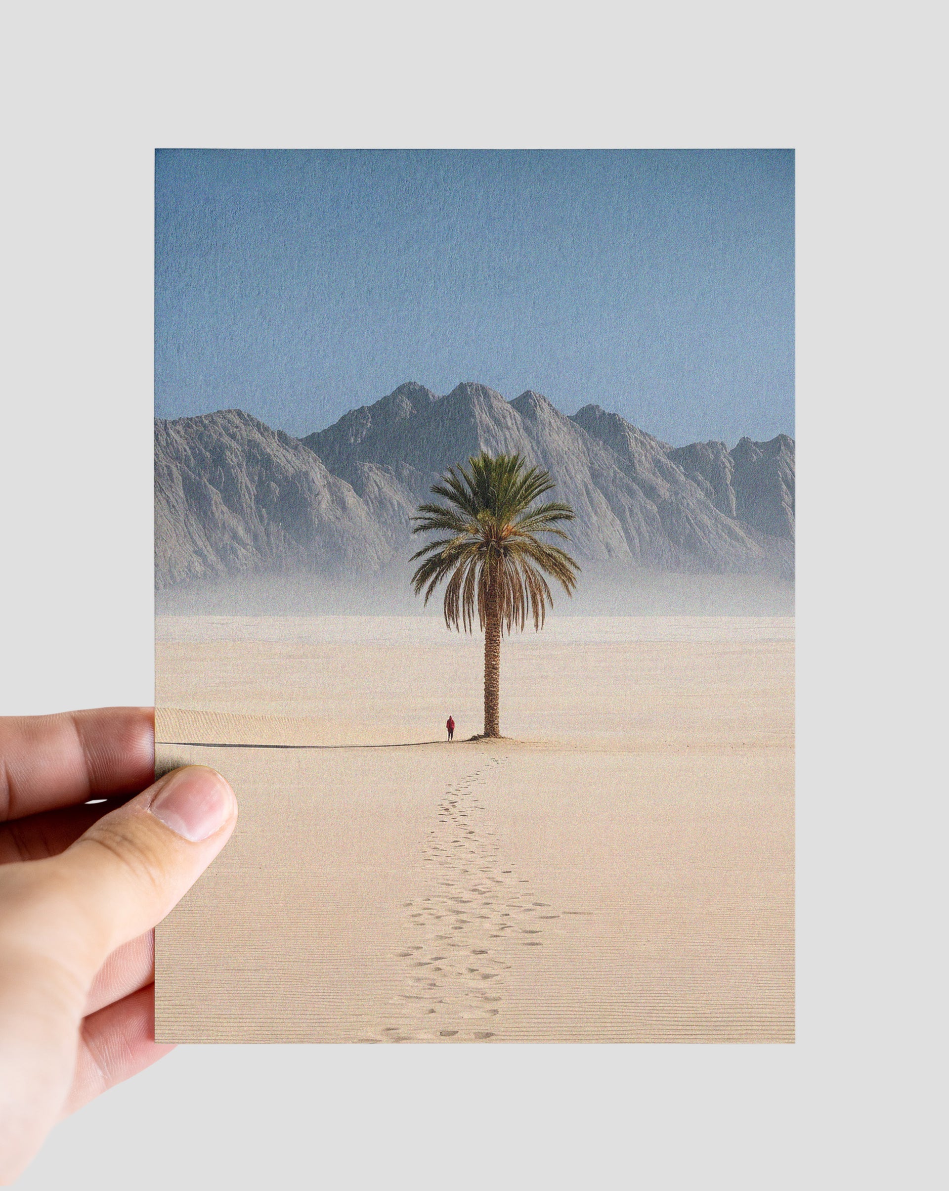 Palmtree