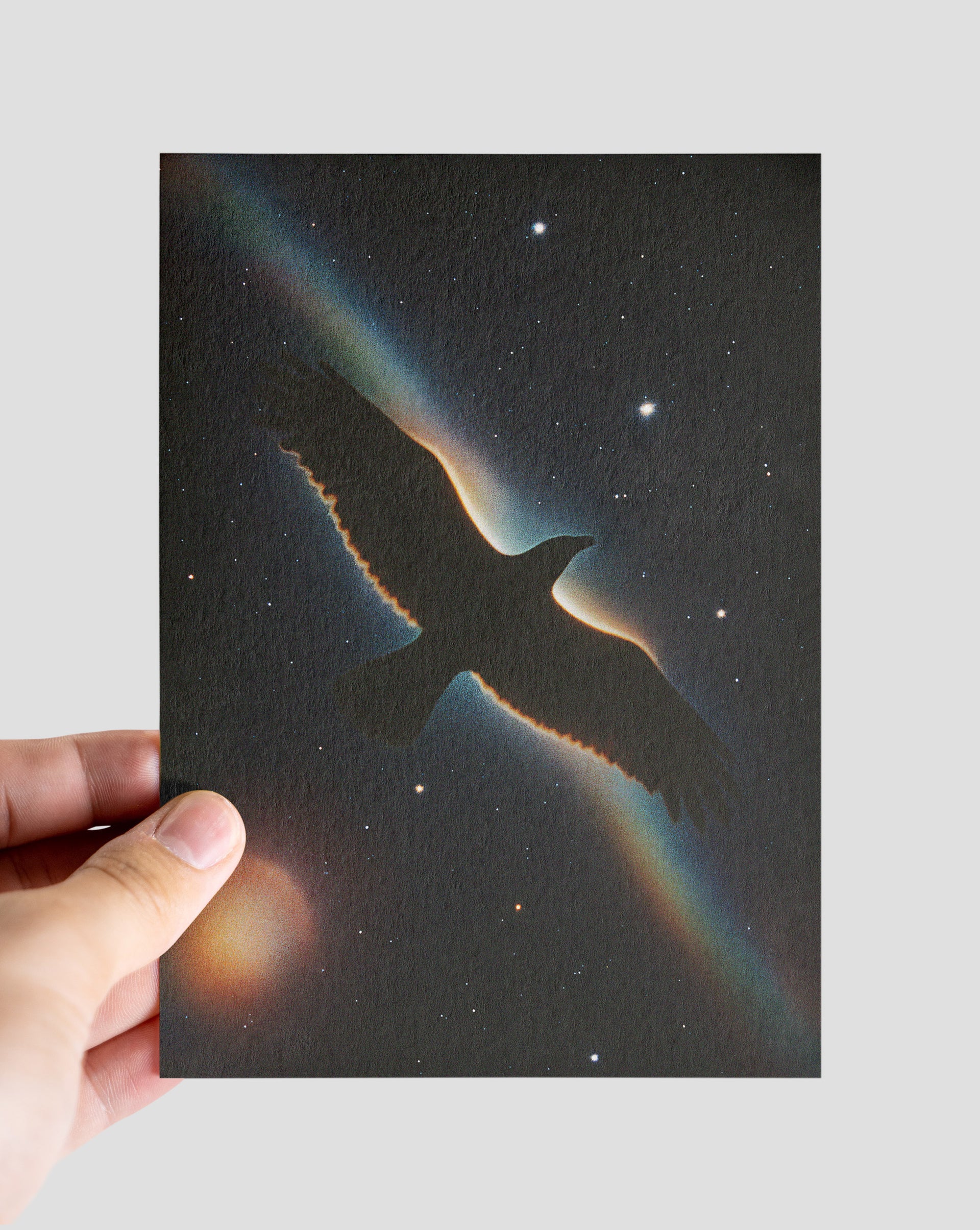 Space bird